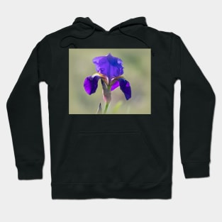 Wild Purple Bearded Iris Hoodie